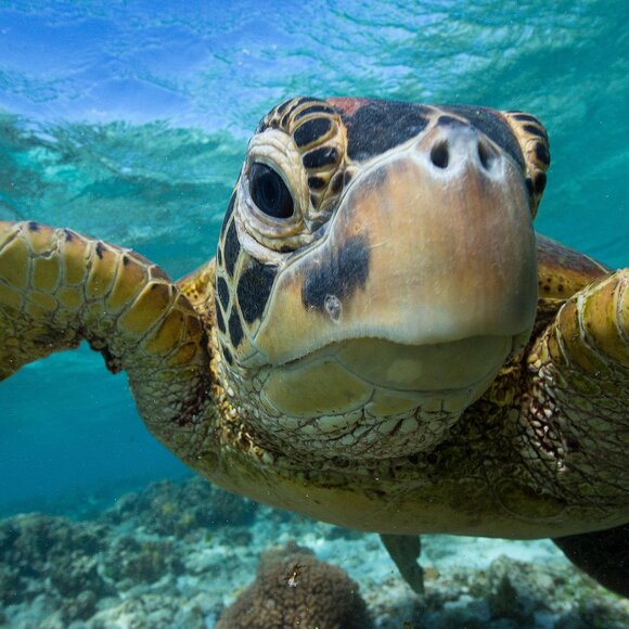 Practice - Picture 1 of 1